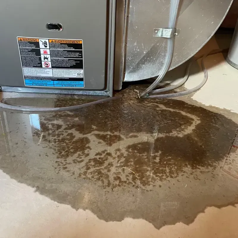 Appliance Leak Cleanup in Pepin County, WI